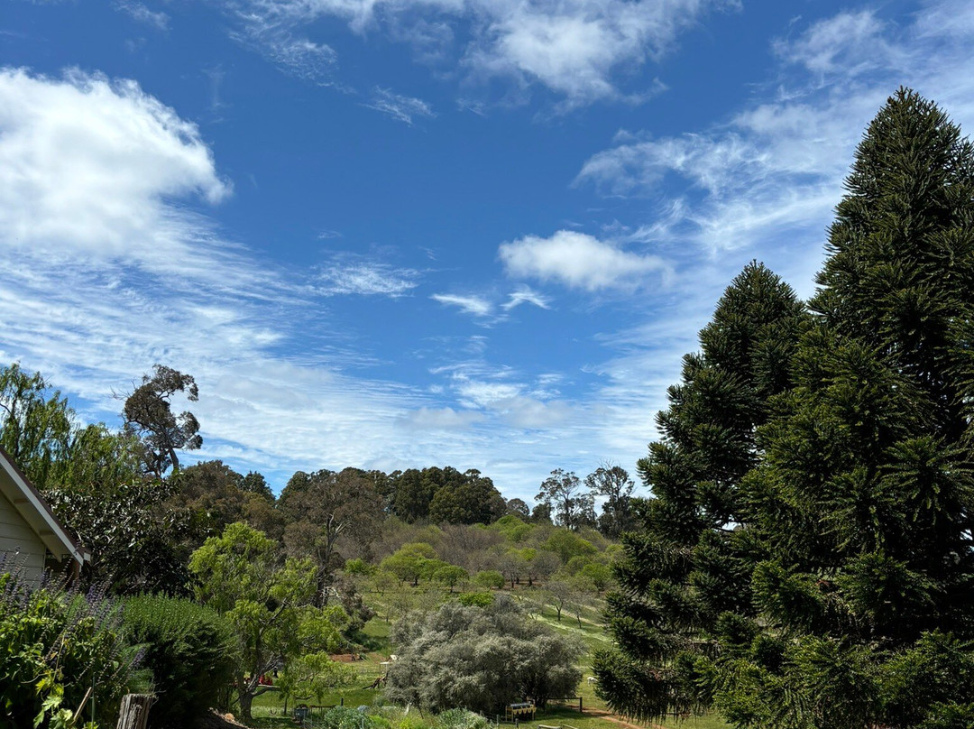 Chestnut Brae Farm景点图片