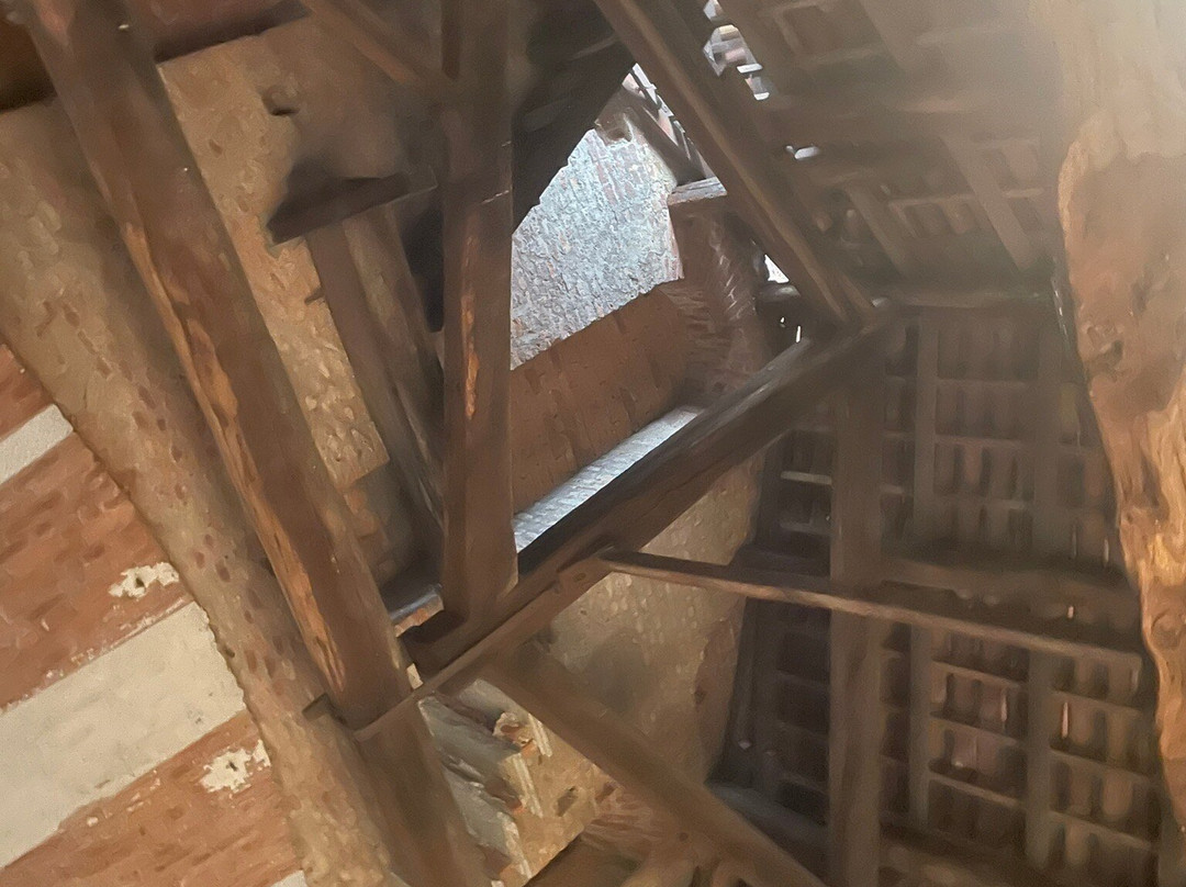 Cupola Di San Gaudenzio - Salita e Visita Guidata Kalatà-诺瓦拉必去景点