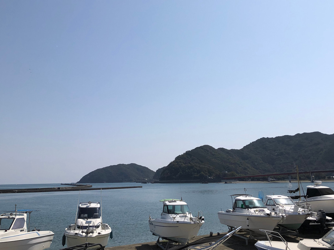 Usao Bridge-土佐市必去景点