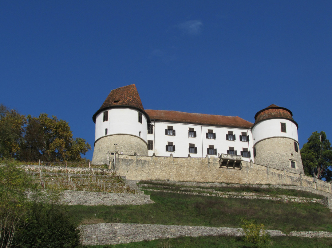 Sevnica Castle-Sevnica必去景点