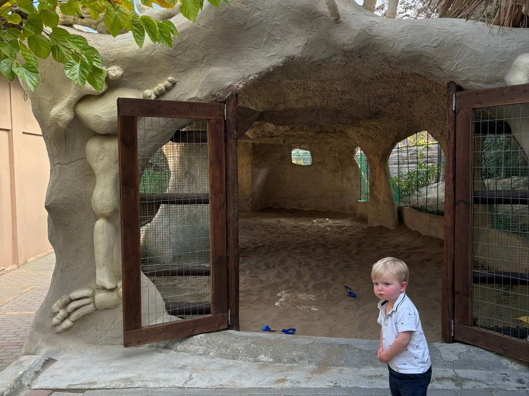 Dinosauria Park景点图片