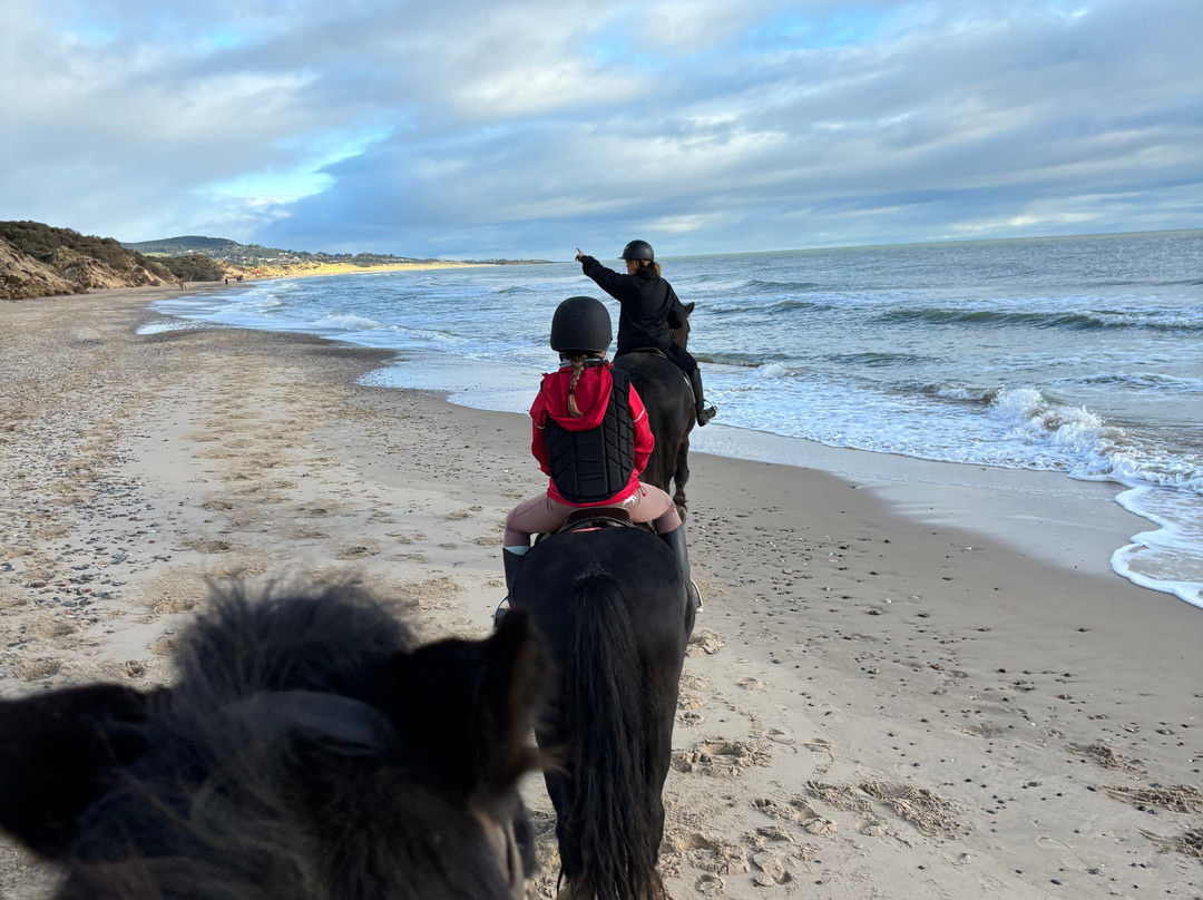 Wicklow Equi Tours-Glenealy必去景点