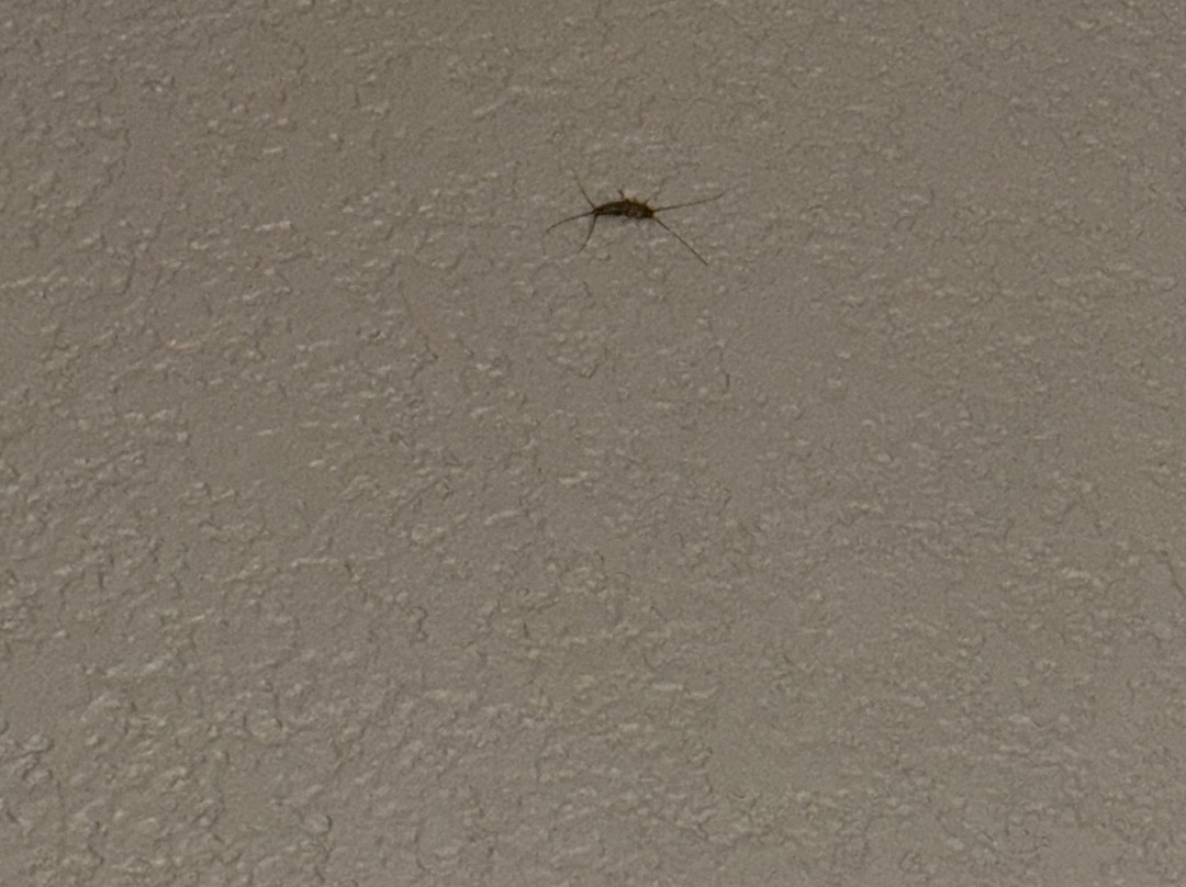 Holiday Inn Express & Suites Dalhart, An Ihg Hotel主图