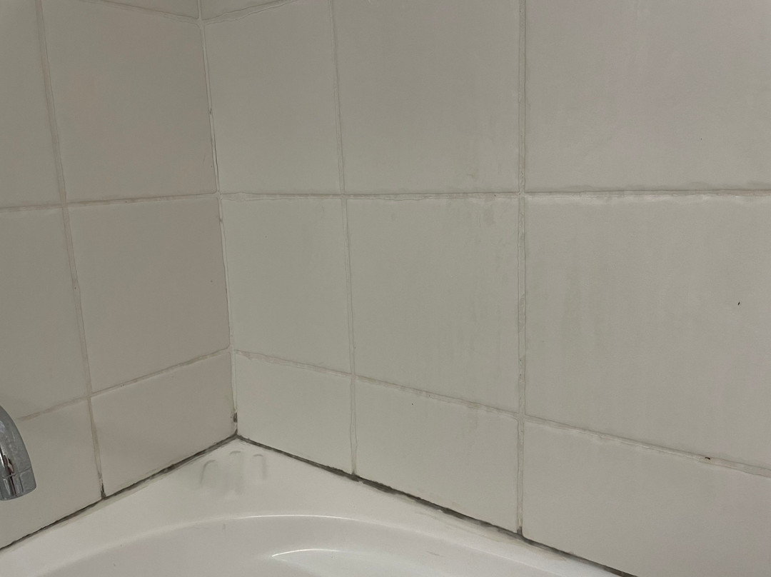 Raintrees Moffat Beach主图