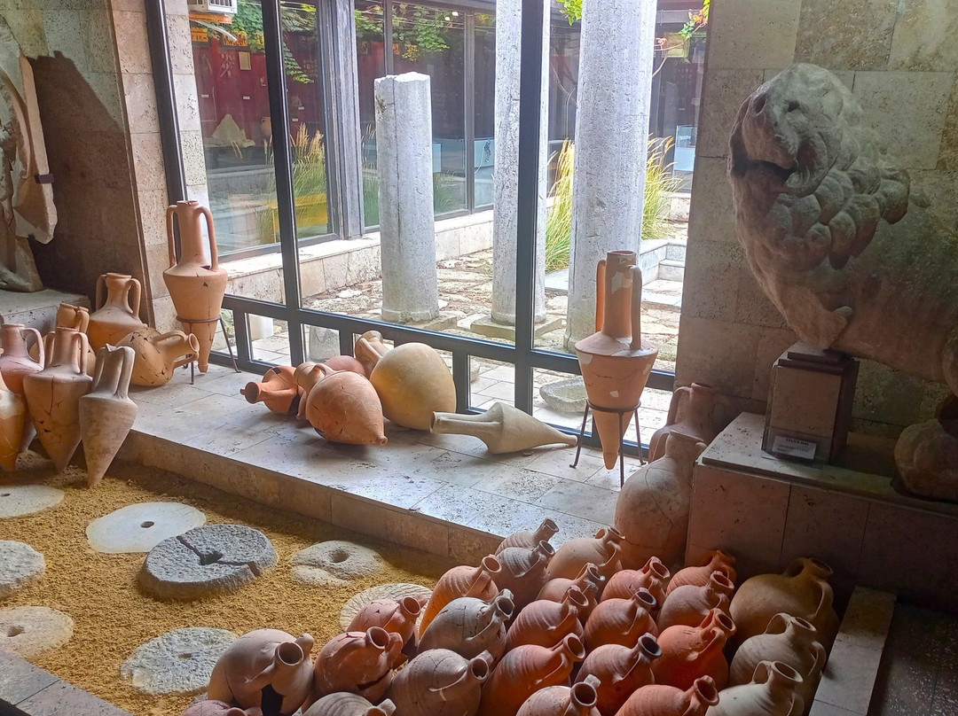 Taman Museum Complex景点图片