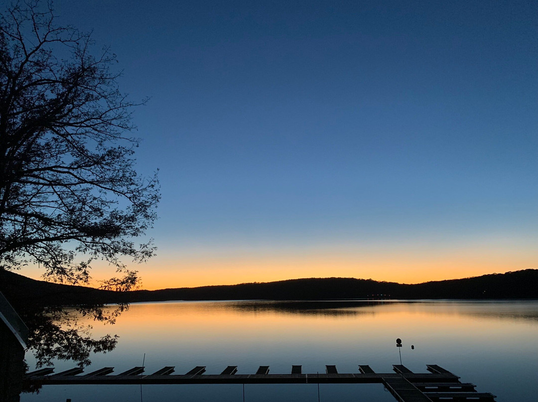 Will O' the Wisp主图