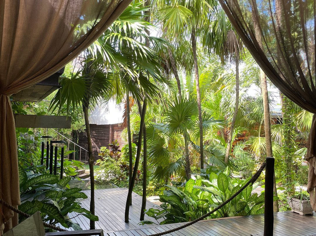 Yäan Healing Sanctuary-图伦必去景点