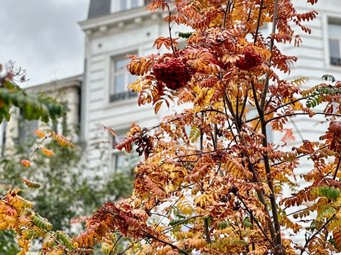 Place St. Gery-布鲁塞尔必去景点