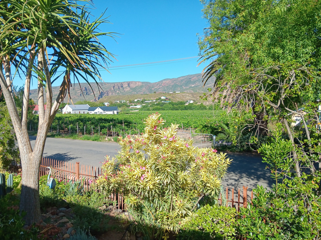 The Queen of Calitzdorp主图