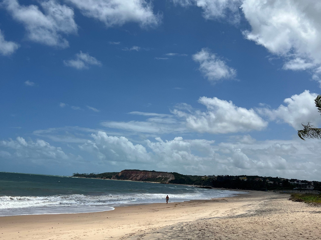 Tabatinga Beach-Conde必去景点