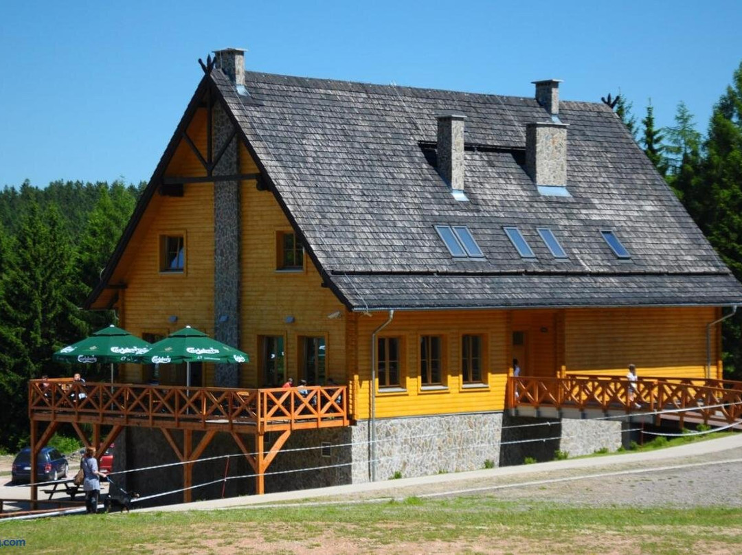 Góra Dzikowiec