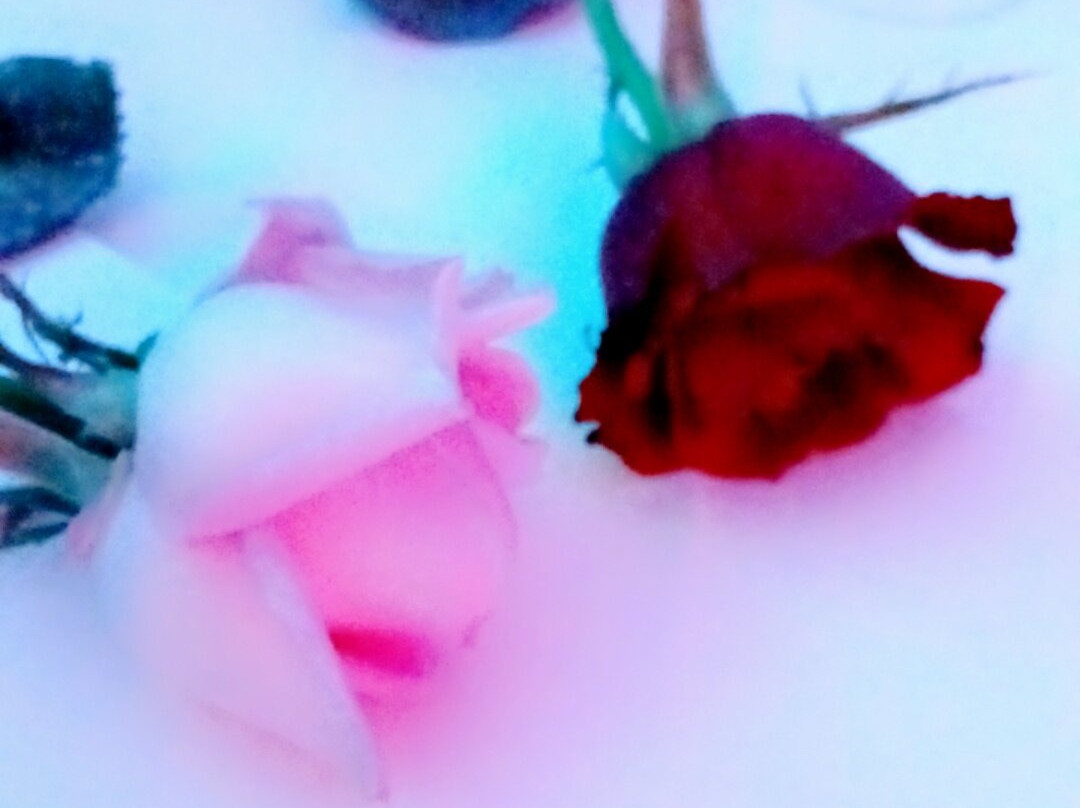 伊波罗之星索拉利亚酒店主图