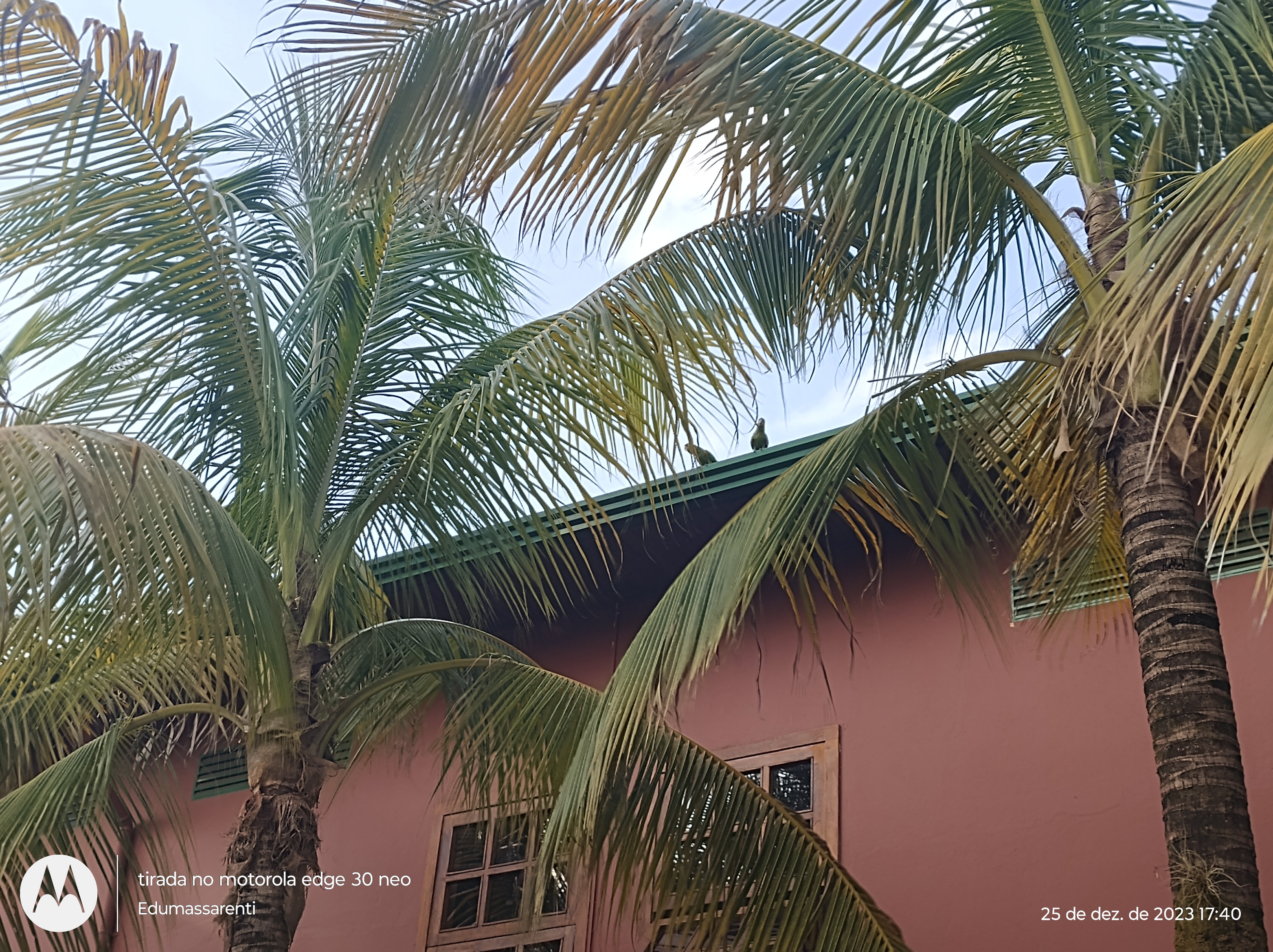 Maria Plaza Hotel-官方