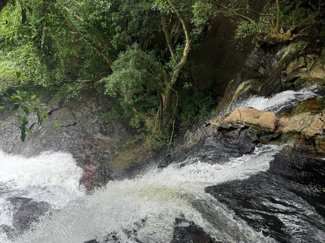 Ecoparque Sperry-卡内拉必去景点