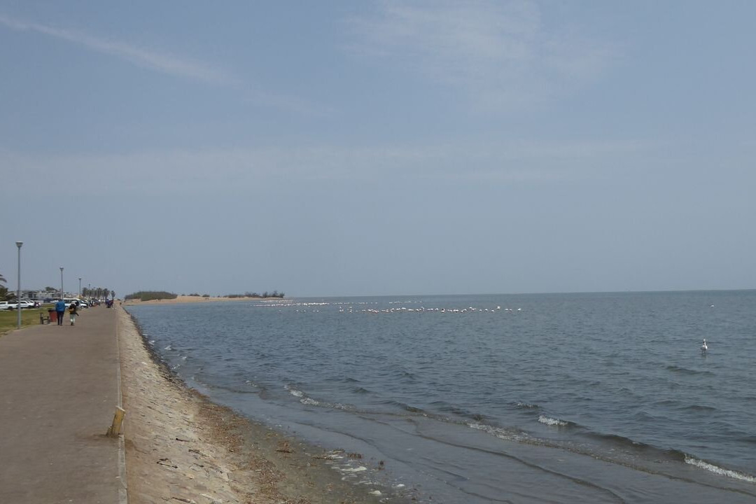 Flamingo lagoon-华维斯湾必去景点