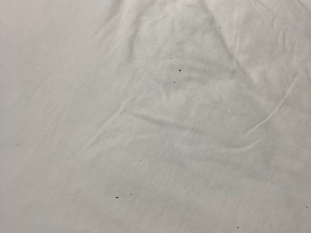 Travelodge by Wyndham Drummondville主图