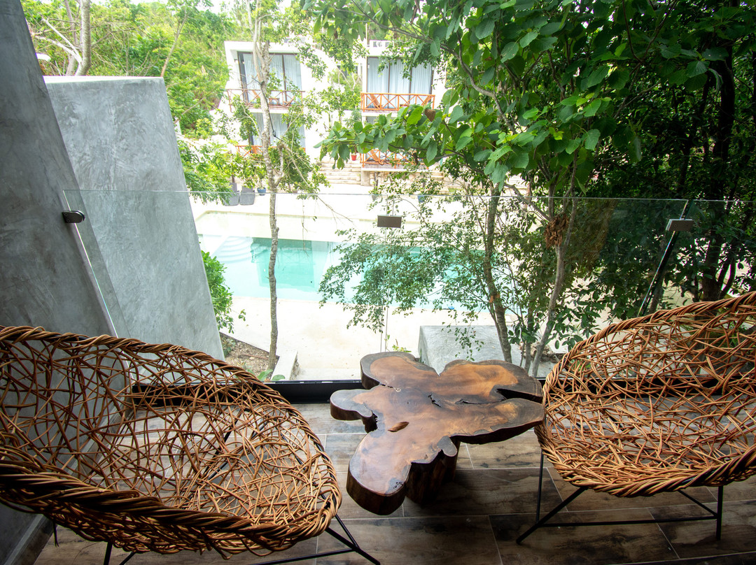 Cenotes Casa Tortuga主图