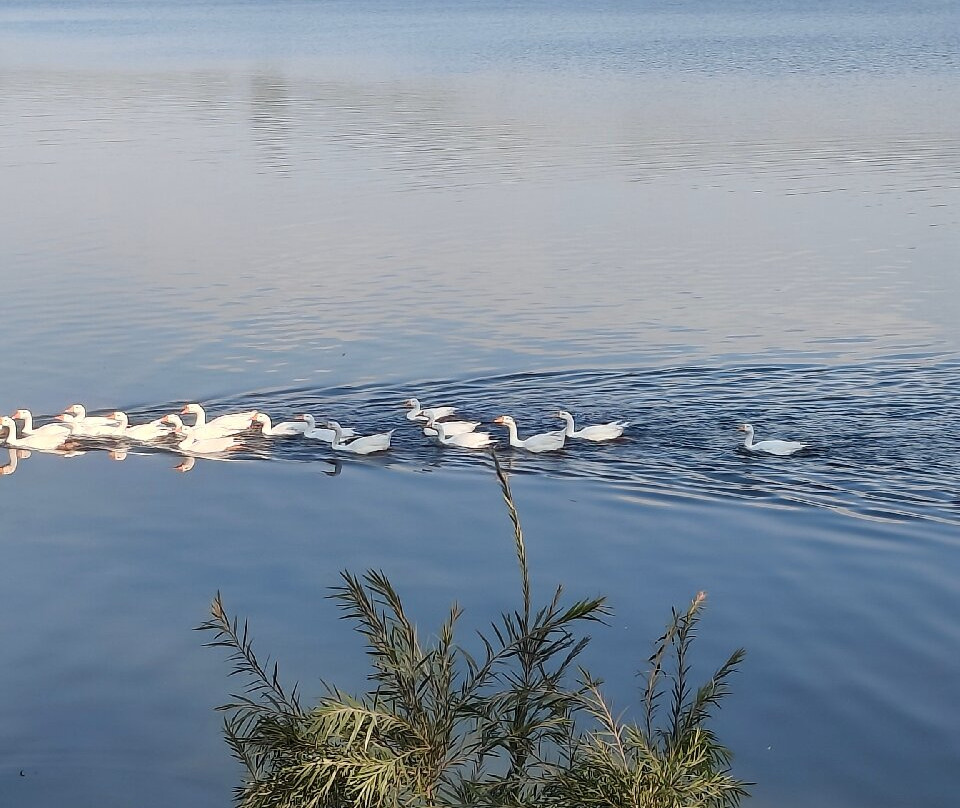 Mansar Lake-Mansar必去景点
