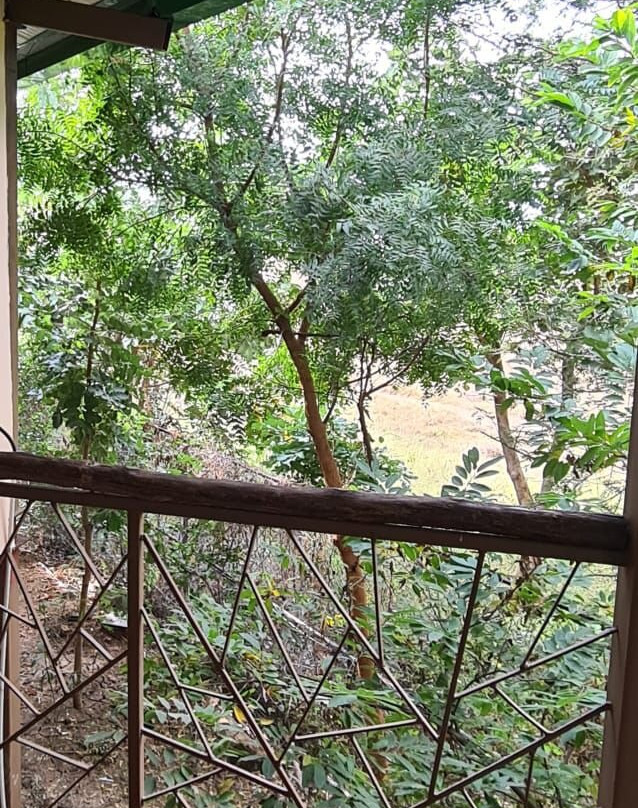 Tadoba Jungle Camp - Jungle Camps India主图