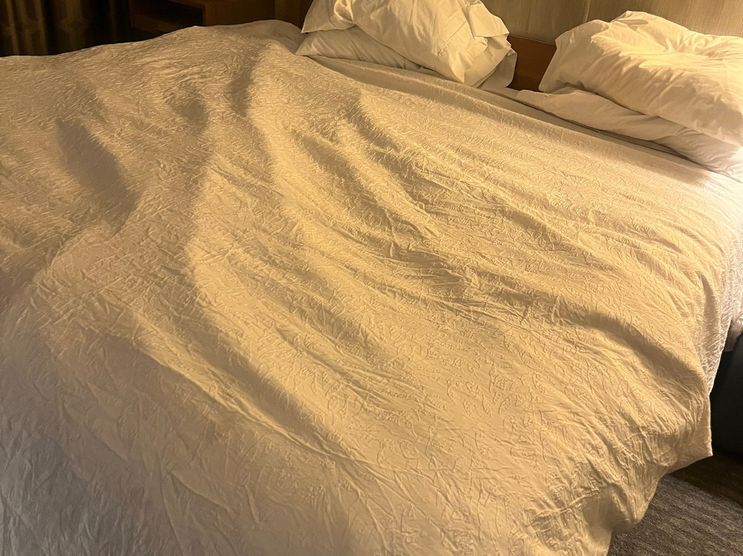 Hampton Inn & Suites Pittsburgh Airport South–Settlers Ridge主图