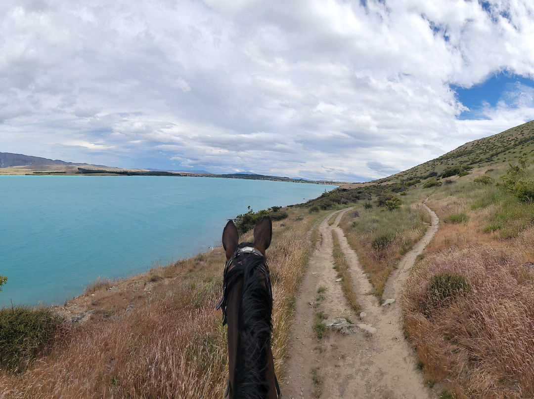 麦肯西高山骑马之旅－一日游-特卡波湖必去景点