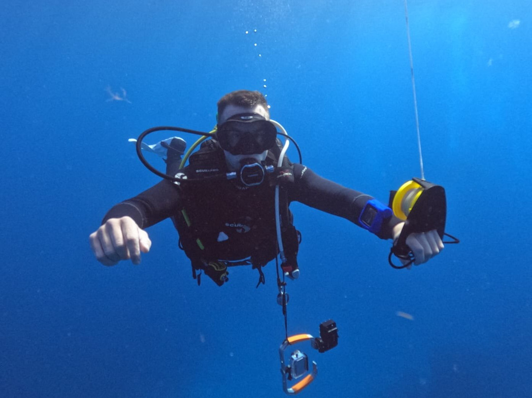 Blue Bottom Diving-奥德杰海岸必去景点