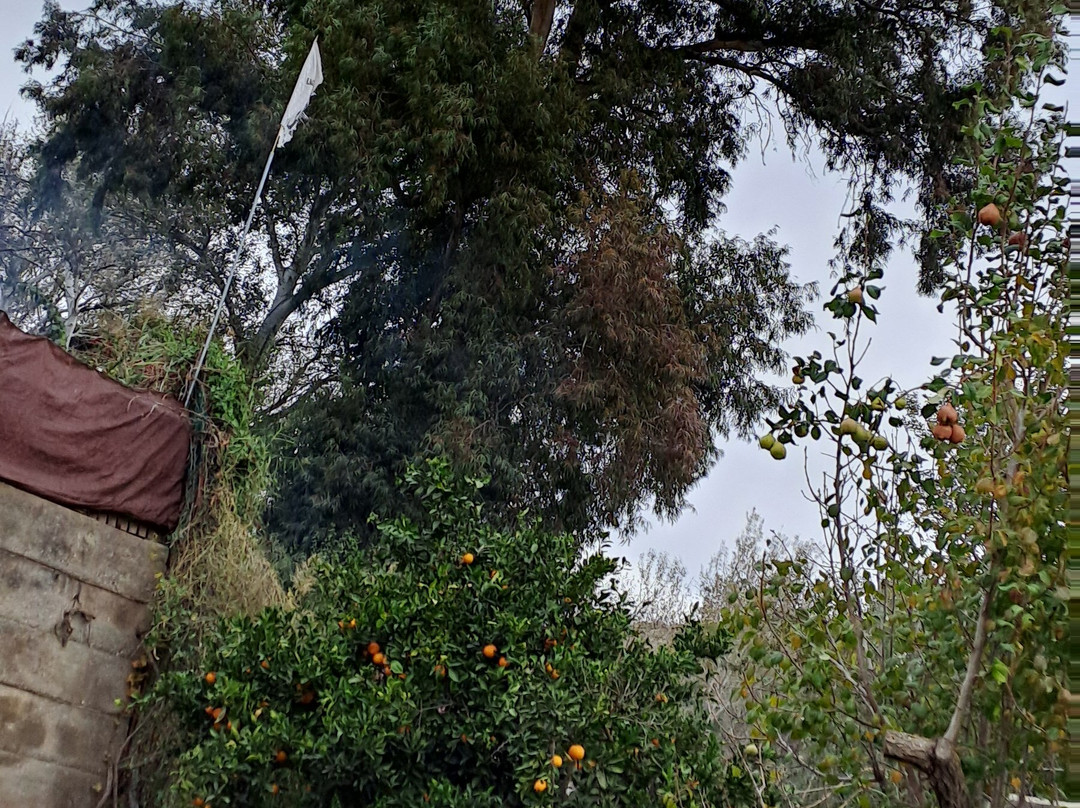 Eagles Survival Training-Velez de Benaudalla必去景点