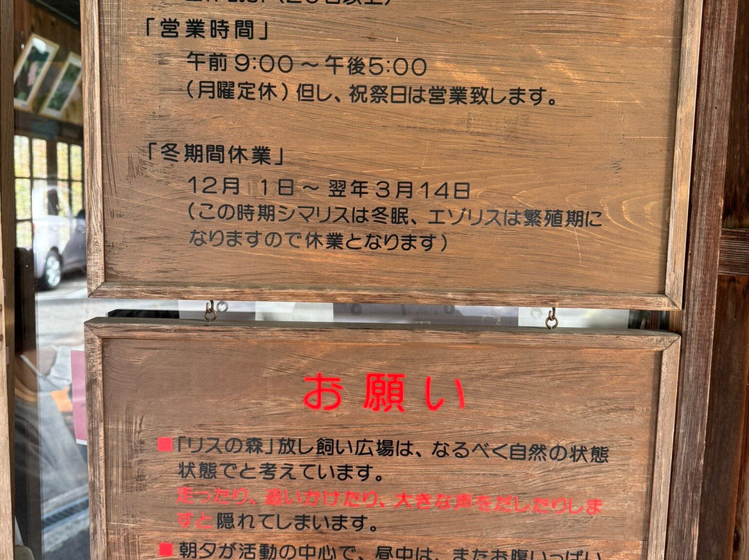 Squirrel Forest Hida Mountains Yaso Shizen Teien-高山市必去景点