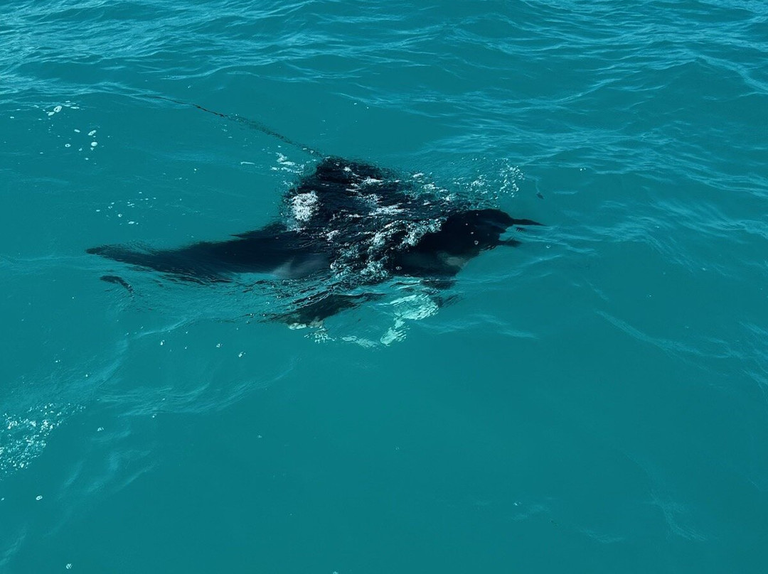 Ocean Frontiers-普罗维登西亚莱斯必去景点