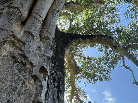 Kikko Kenya Safari-瓦塔木必去景点