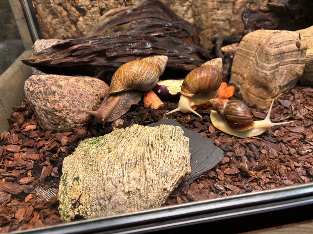 Skansen - Akvariet-斯德哥尔摩必去景点