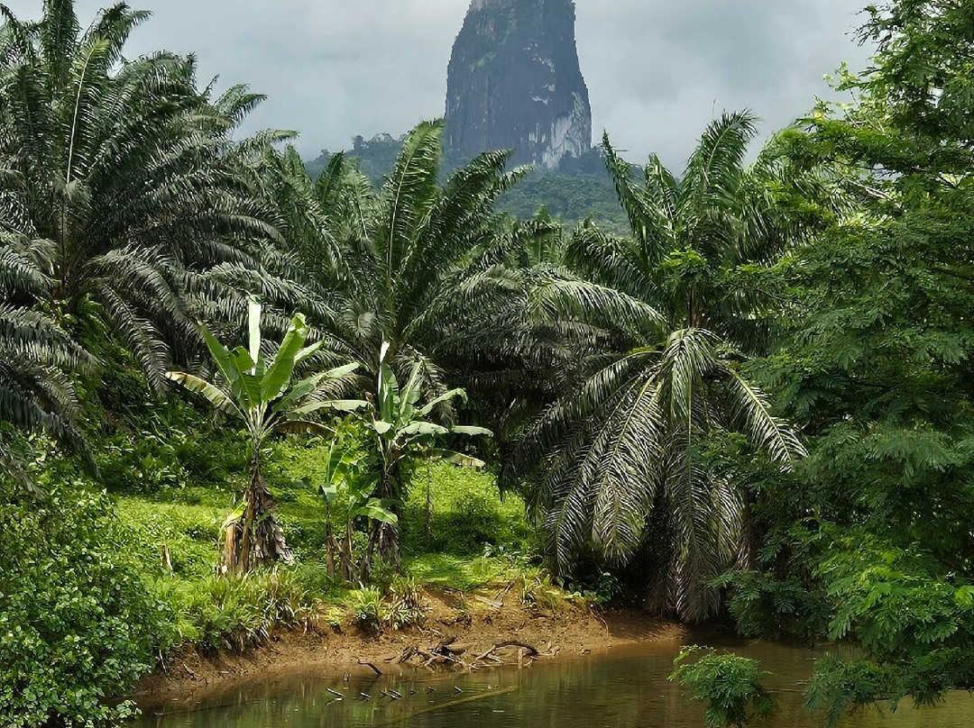 Pico Cão Grande景点图片