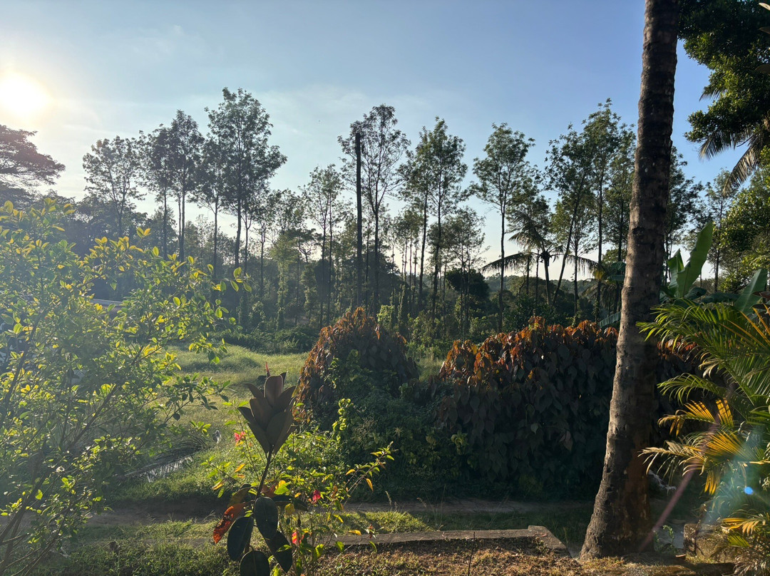 Charmadi Ghat景点图片