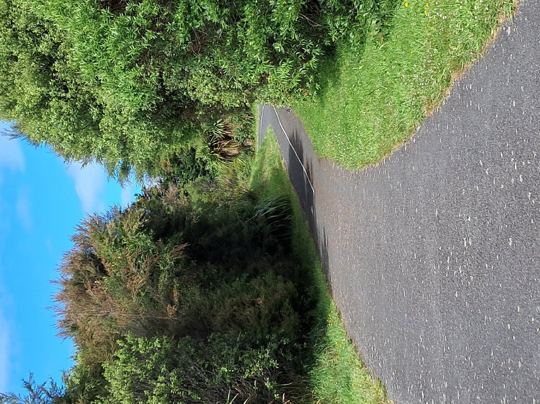 Queen Elizabeth Park景点图片