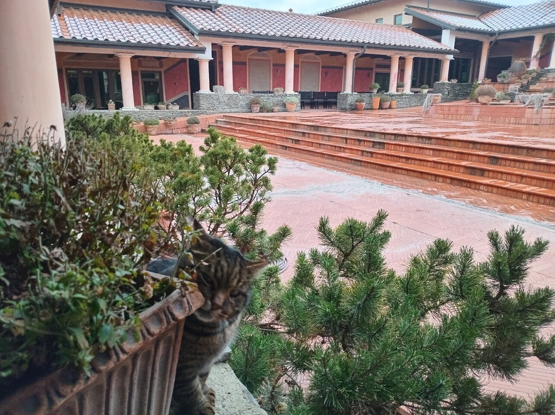 Viminacium Archaeological Park景点图片