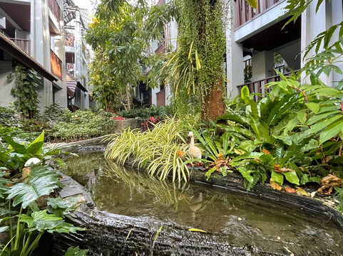 阿瓦塔尔度假酒店主图