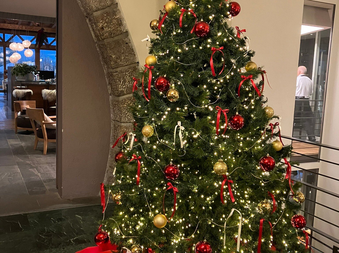 Hotel Milano - Active Hotel主图