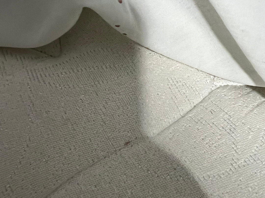 Augusto Palace Hotel主图