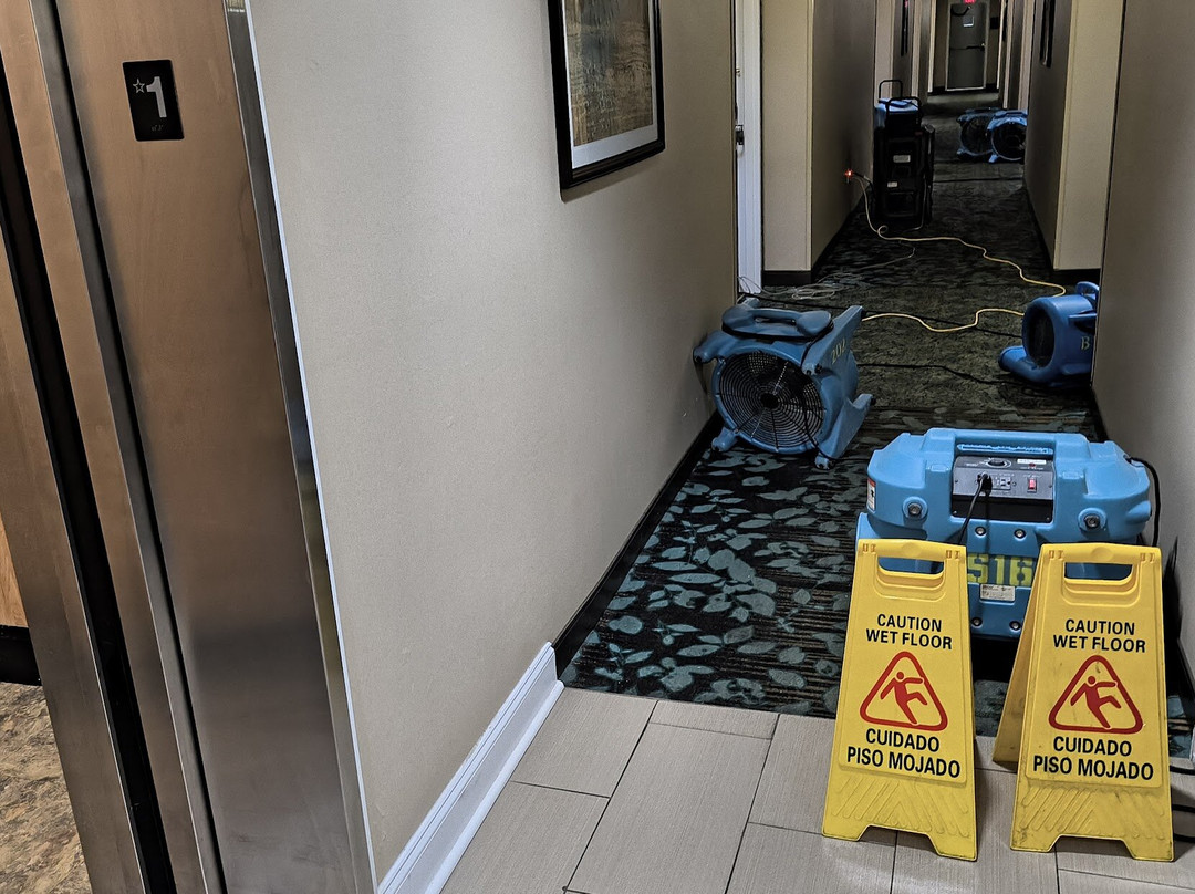 Best Western Kilmarnock Hotel主图