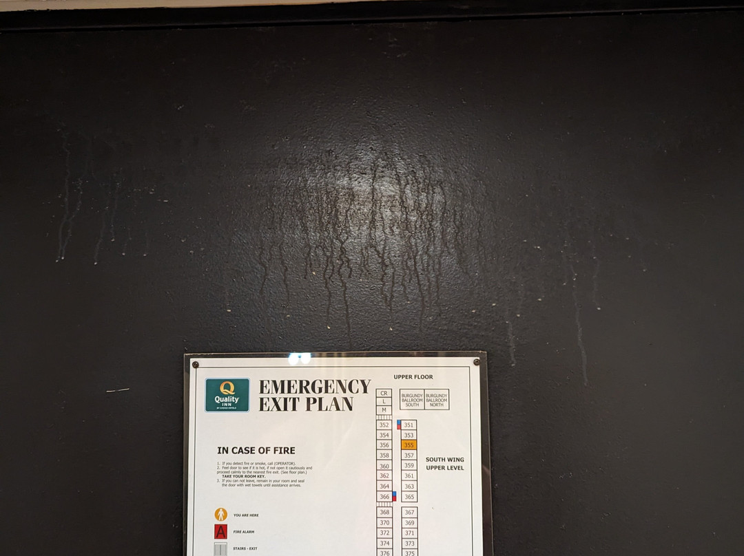 Quality Inn & Conference Centre主图