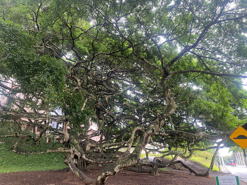 Indi tours-卡卢特勒必去景点