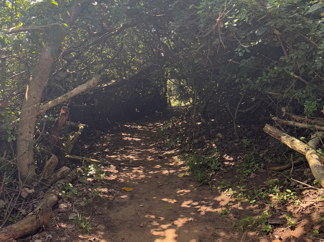 Umhlanga Lagoon Nature Reserve-Umhlanga必去景点