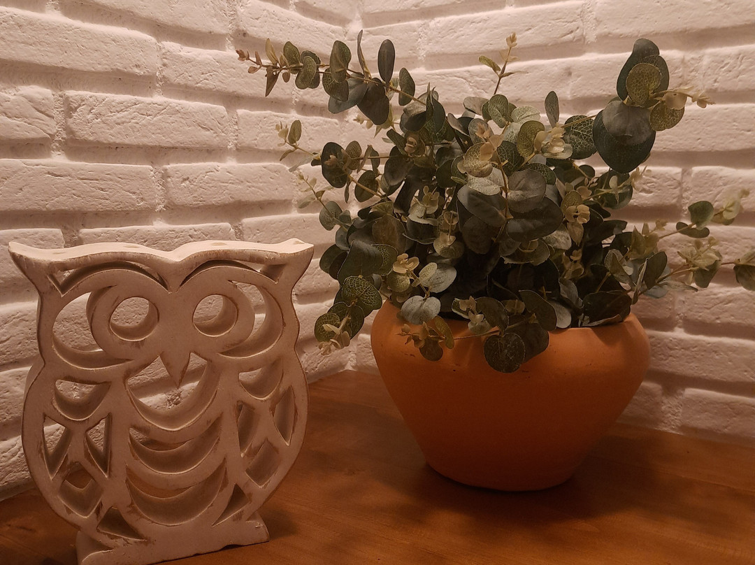 Grinberg's Village Hotel主图