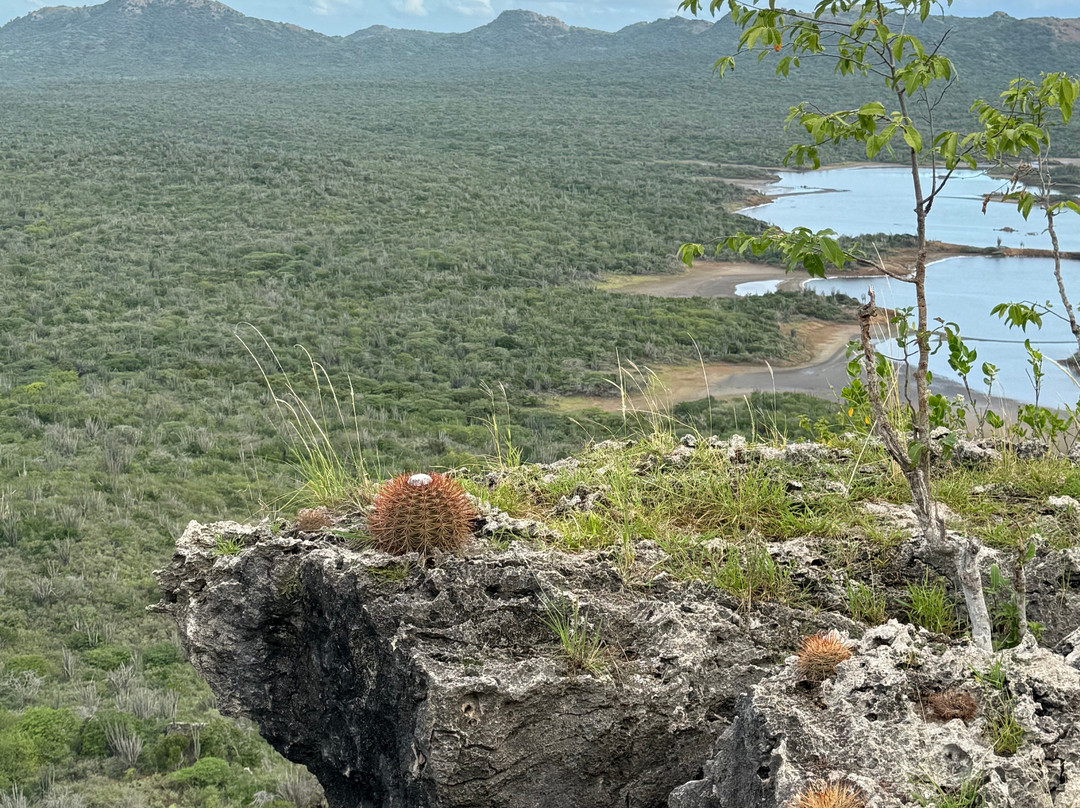 HopiBonaire-Bonaire必去景点