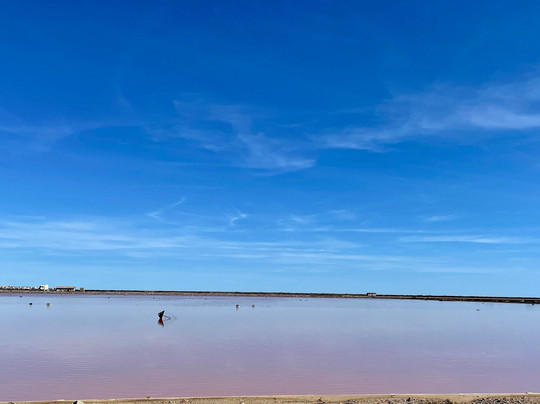 Le Fumoir Des Corbières-Treilles必去景点