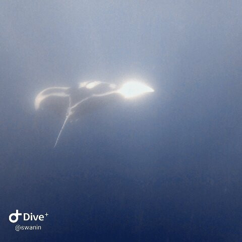 Scuba Nosy Be景点图片