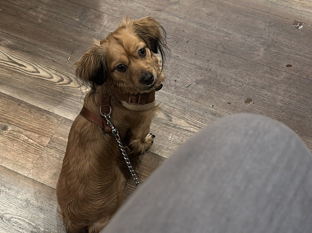 B33r At 33-Horwich必去景点