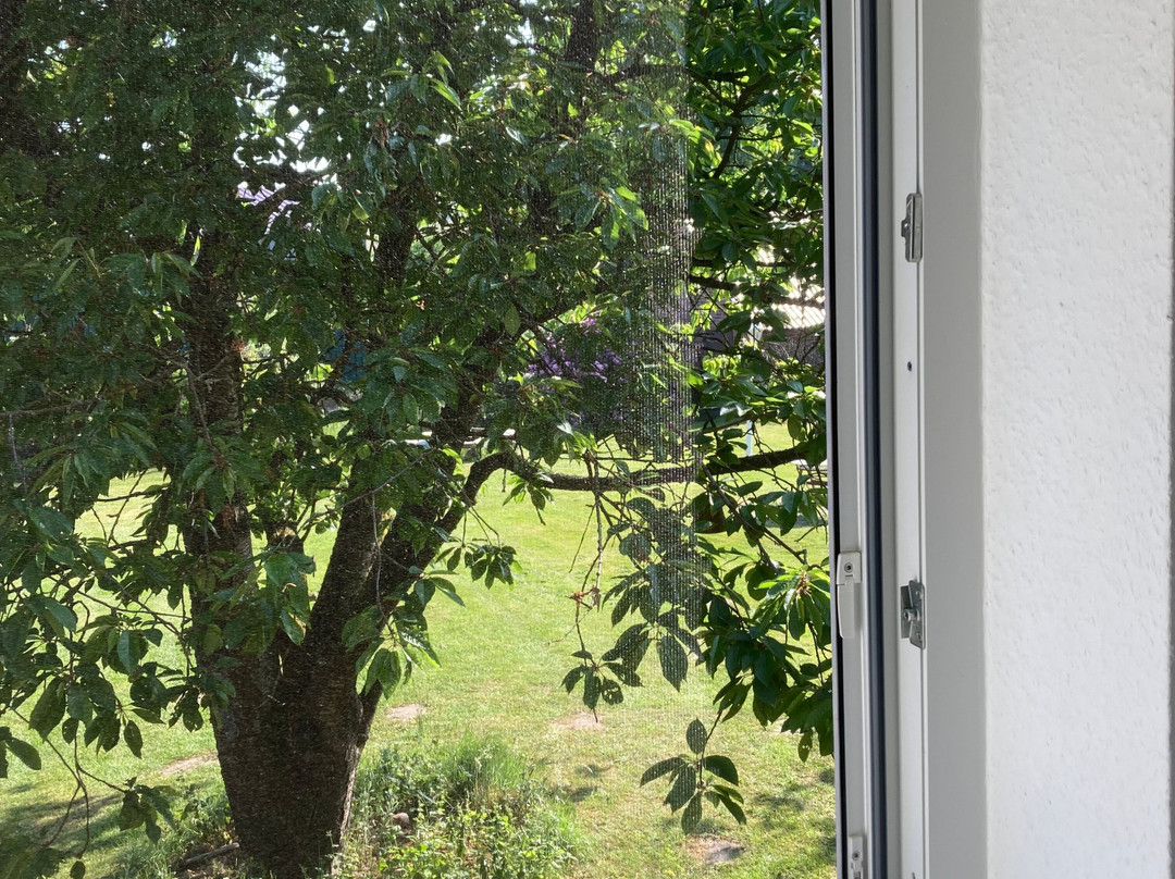 Ferienhof Meyer主图