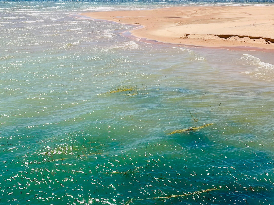 Trilheiros Nativus-Feira de Santana必去景点