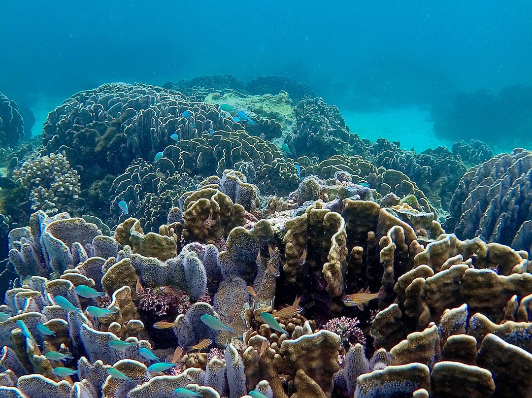 Stone Creek House主图